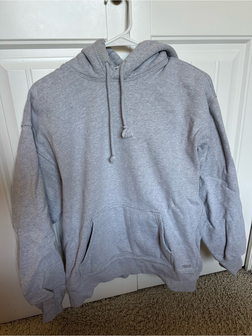 Aritzia Hoodie